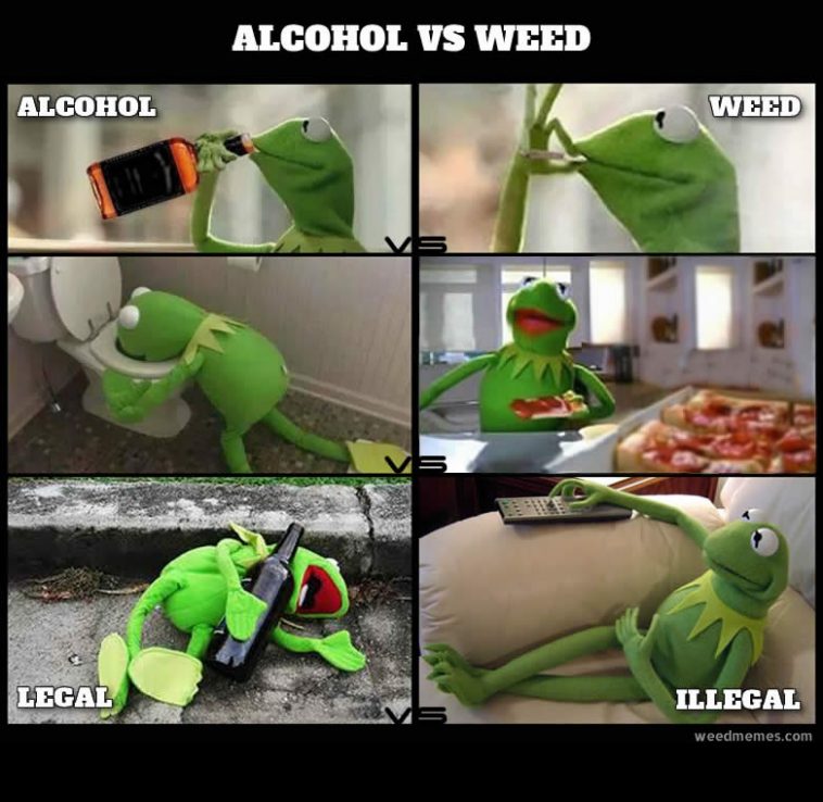 kermit-alcohol-vs-weed-memes-758x738.jpg