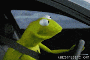 kermit-and50-cent.gif