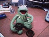 kermit_the_frog-3384.gif