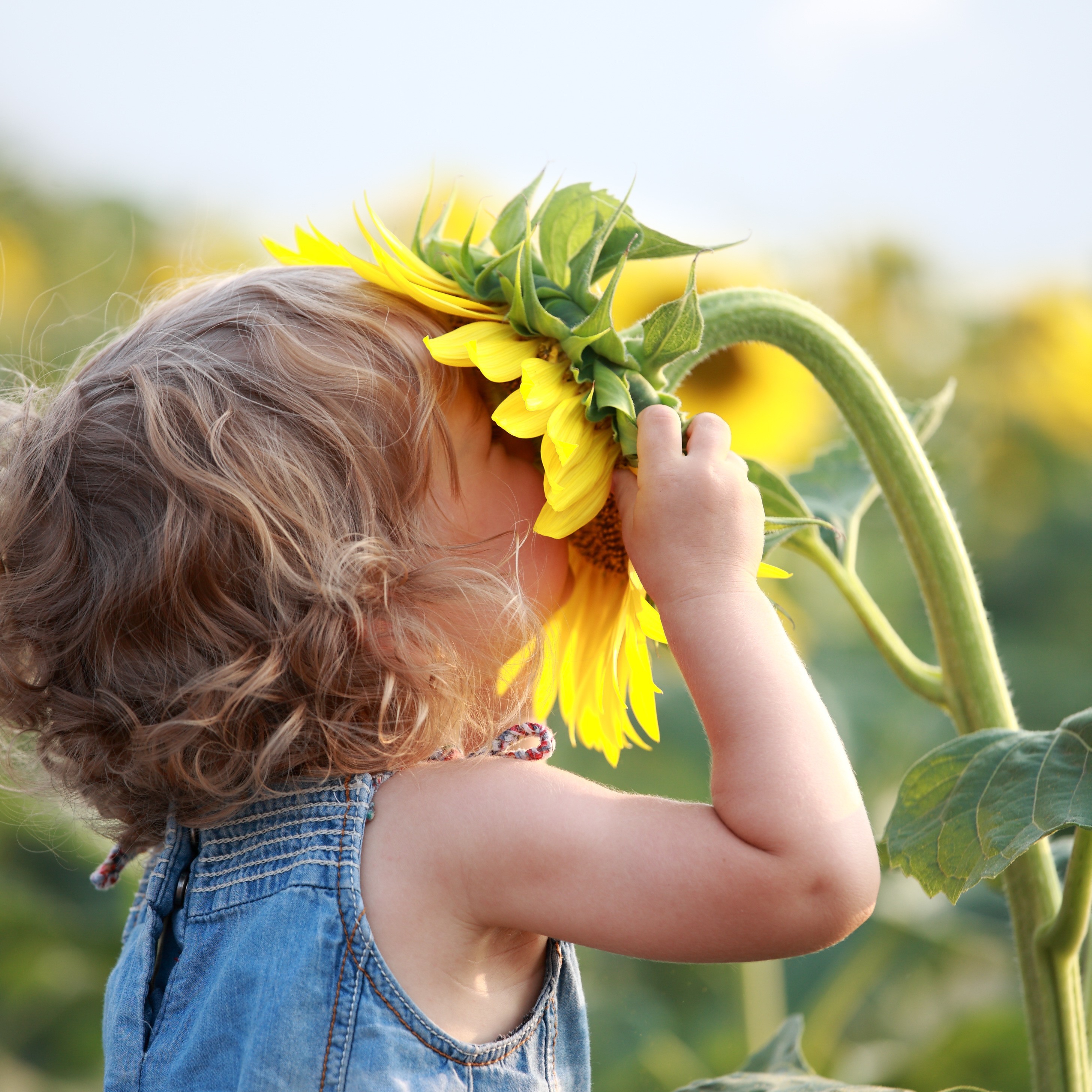 kidsmellingflower.jpg