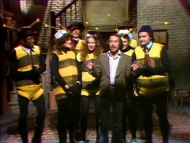 killer-bees-snl-youtube-i6.jpg