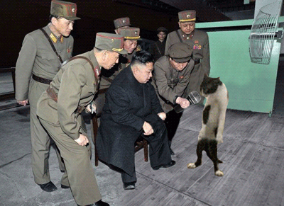 Kim+Jong+un+and+his+dancing+singing+cat_e10c4f_4506731.gif