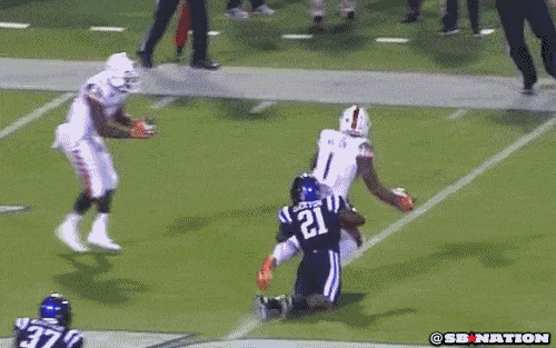 knee2.0.gif