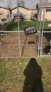 l49JXIkflkT4AVPPy.gif