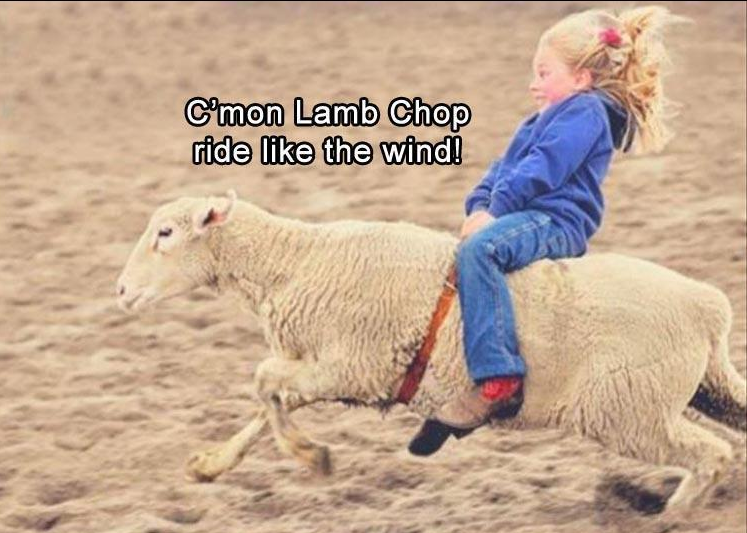 lambchop.png