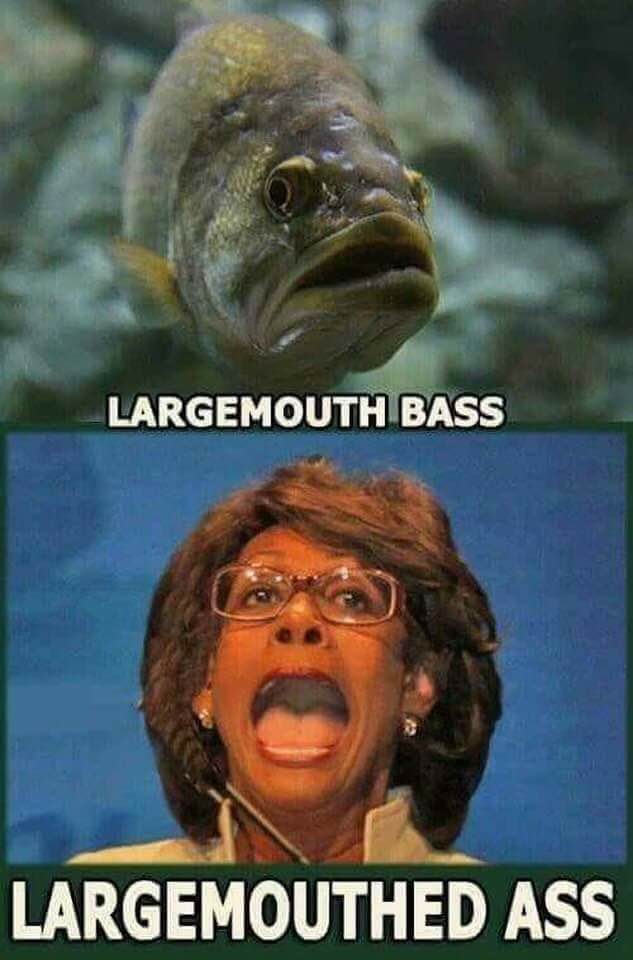 Largemouth.jpg