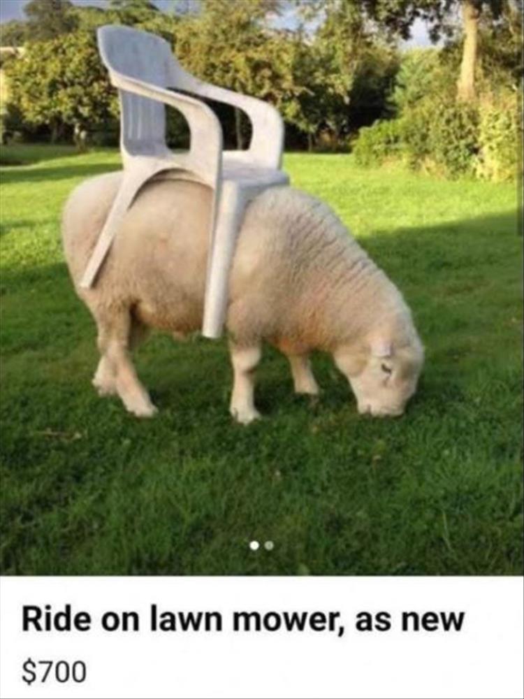 lawn-mower.jpg