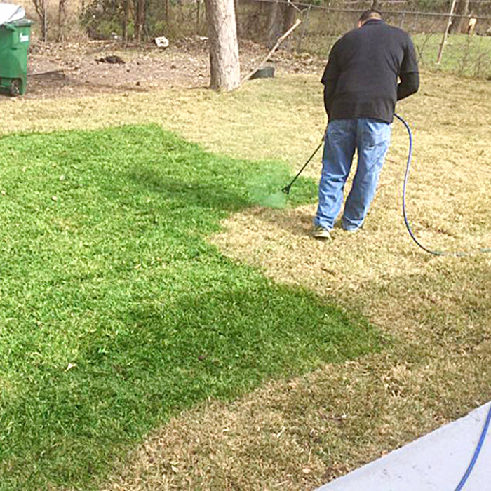 Lawn-Spray-Paint.jpg