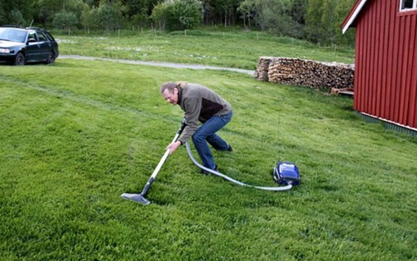 lawn2.jpg