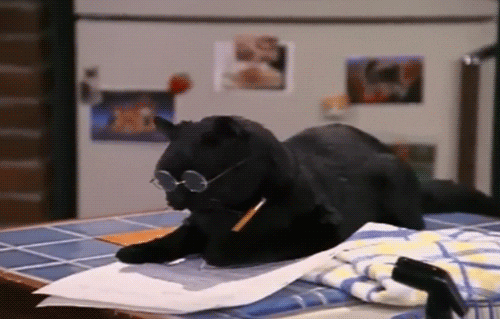 letter.gif