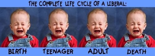 liberal life.jpg