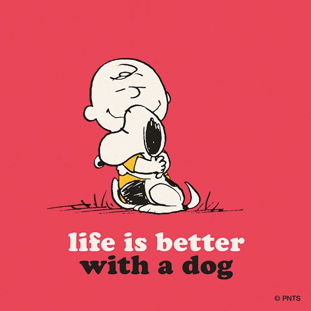 life_advice_30.jpg