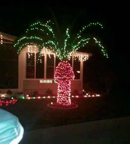 lights.jpeg
