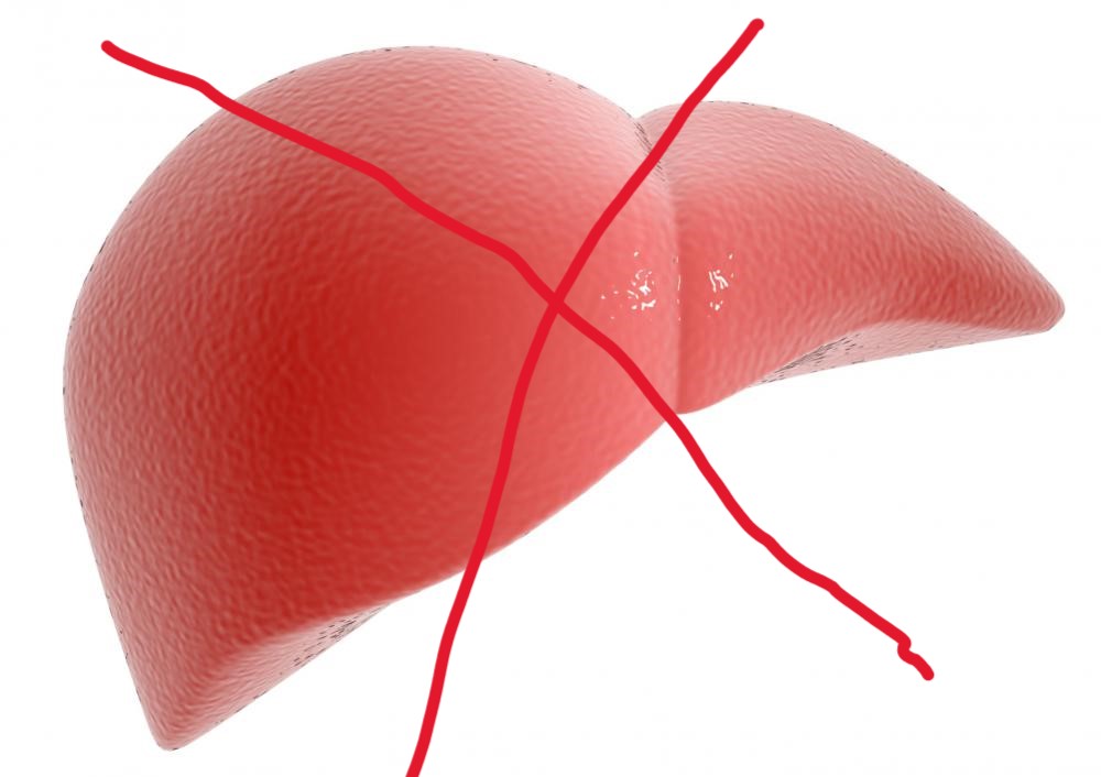 liver.jpg