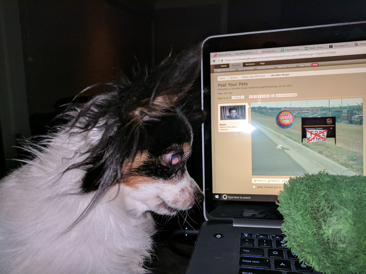 lola.jpg