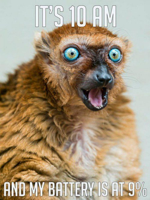 low battery.jpg