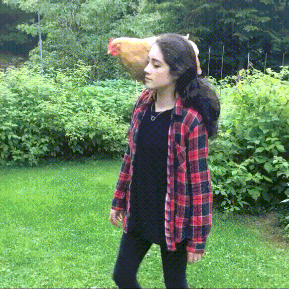 lT55dd9jDO1nG.gif