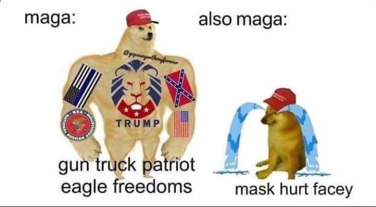 M.JPG