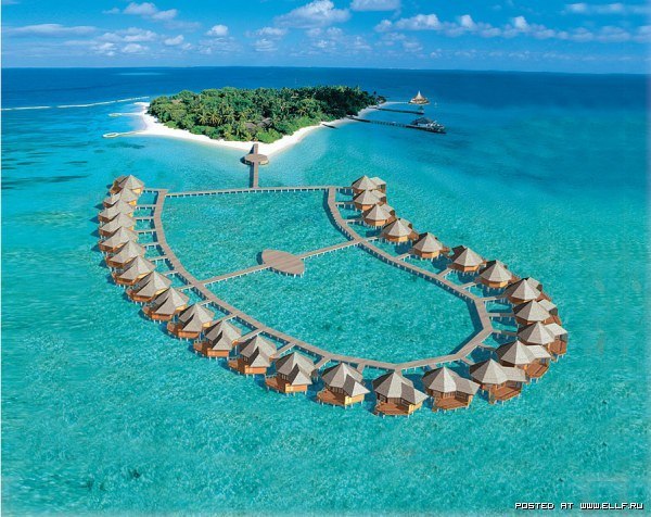 maldives.jpg