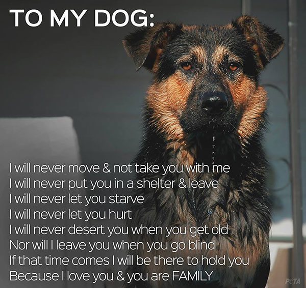 mans_best_friend_5.jpg