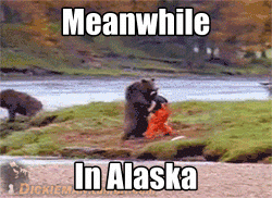 Meanwhile in Alaska.gif