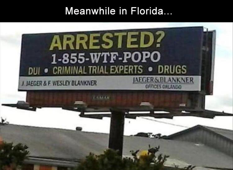 meanwhile-in-florida-1.jpg