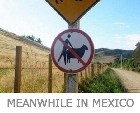 Meanwhile-in-Mexico...jpg