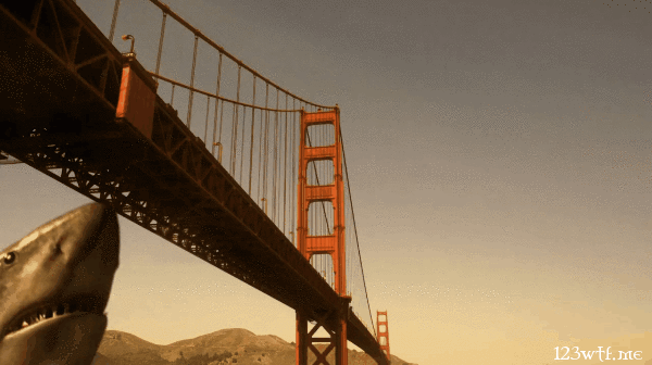 mega-shark-giant-octopus-11-bridge-work-saint-pauly-wtf-text.gif