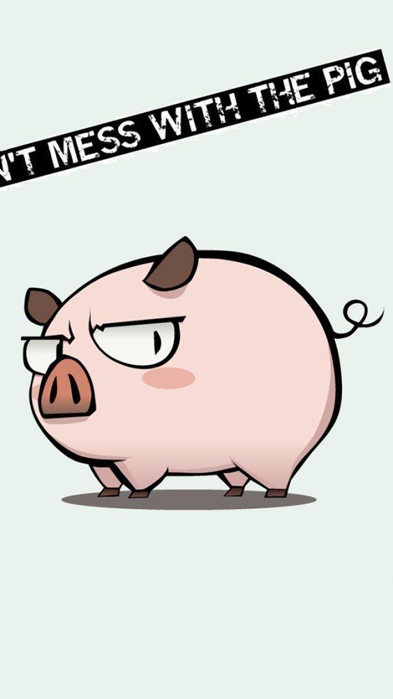 Mess pig.jpg