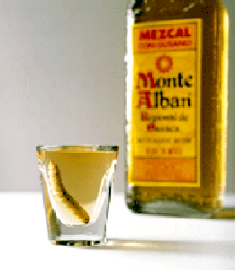 Mezcal_Worm_Monte_Alban.gif