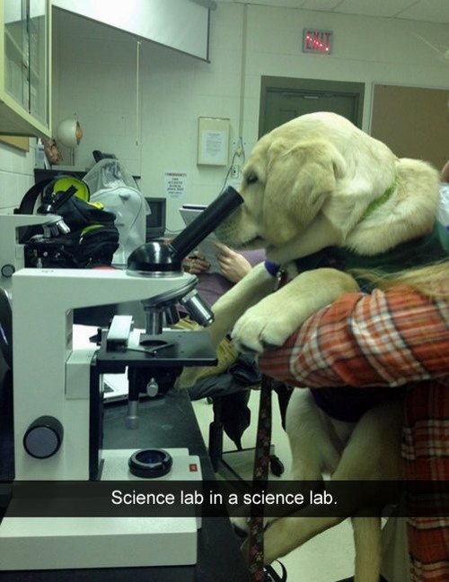 Mind-blown-27.jpg