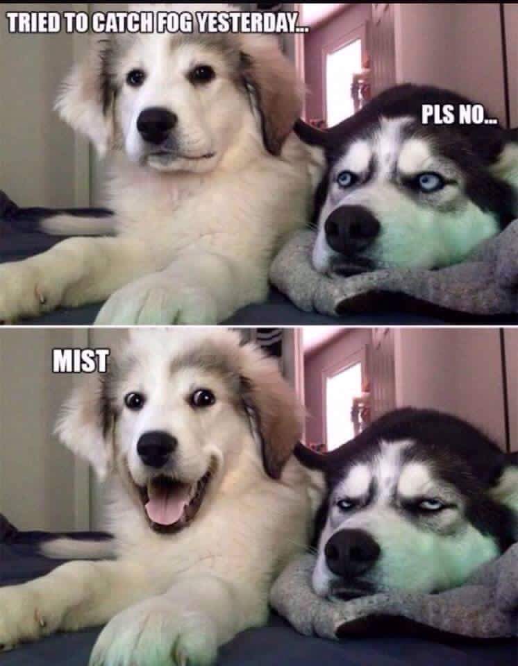 mist.jpg
