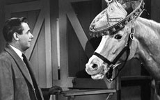 MISTER ED.jpg