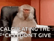 Monkey Calculate GIF10062337697035377966.gif