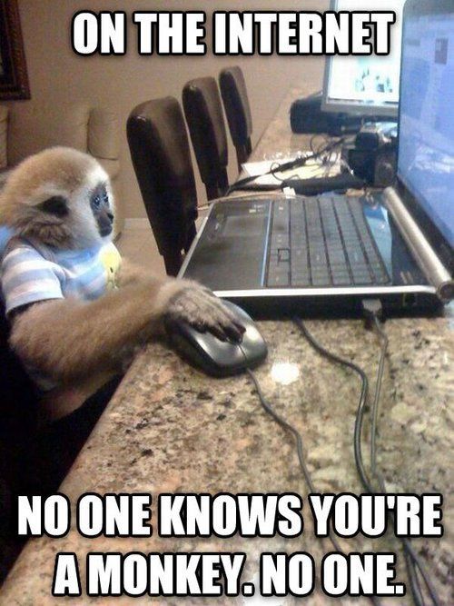 monkey_using_a_computer.jpg