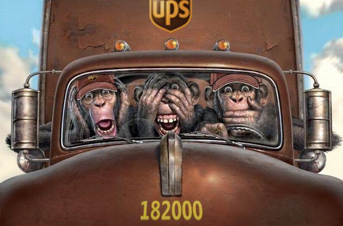 MonkeySee.jpg
