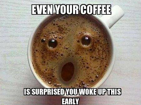 morning.jpg