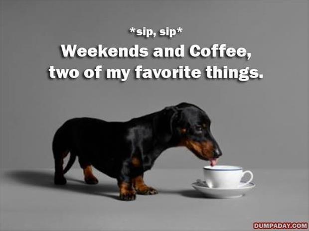morning.jpg