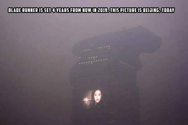 morning_picdump_778_640_28.jpg