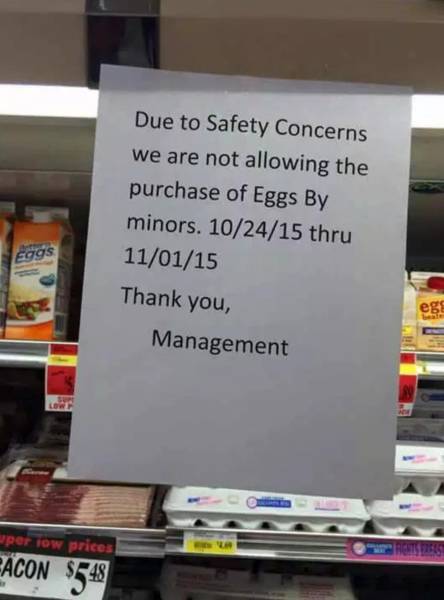 morning_picdump_837_640_36.jpg