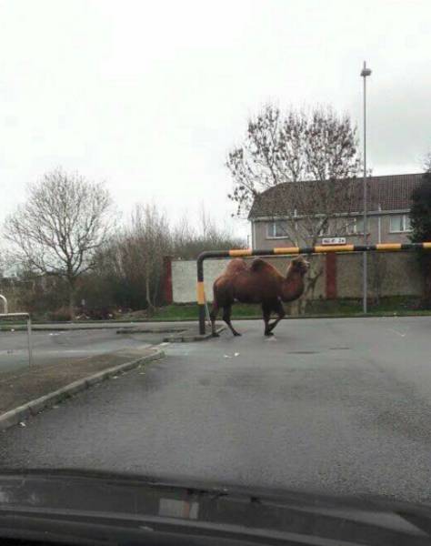 morning_picdump_895_640_27.jpg