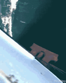 ms-zONLOX.gif