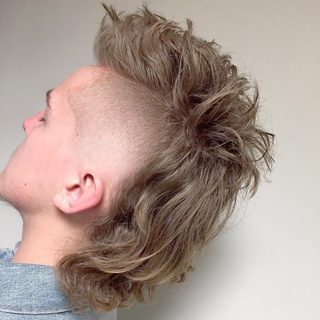 mullet.jpg
