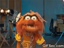 Muppets-Very-Angry-GIF.gif