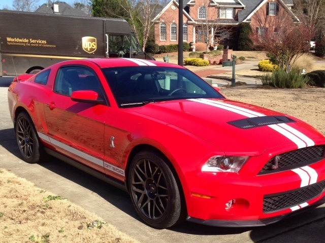 mustang.jpg