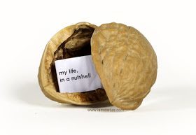 my_life_in_a_nutshell.jpeg
