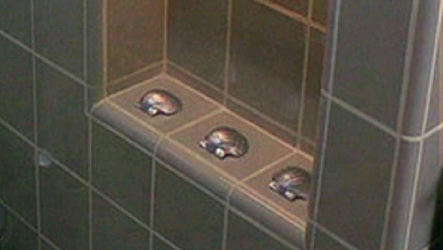 N11vhJz.png