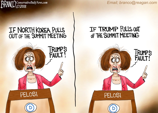 Nancy P.jpg