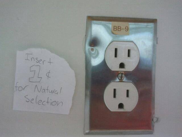 natural-selection-funny.jpg