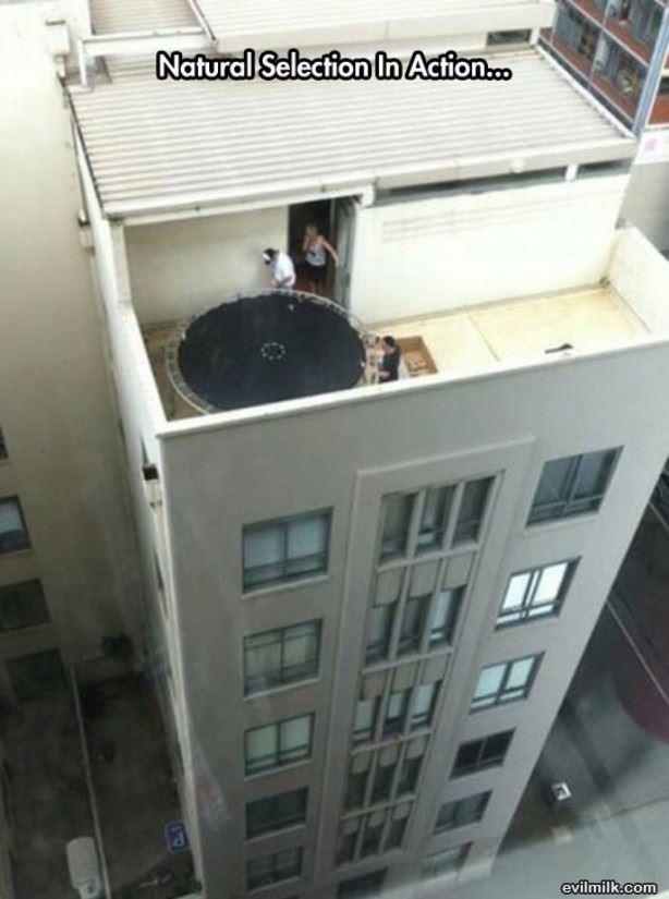 Natural_Selection9439.jpg